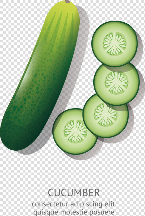 Transparent Cucumber Png   Cucumber Cartoon Drawing  Png DownloadTransparent PNG