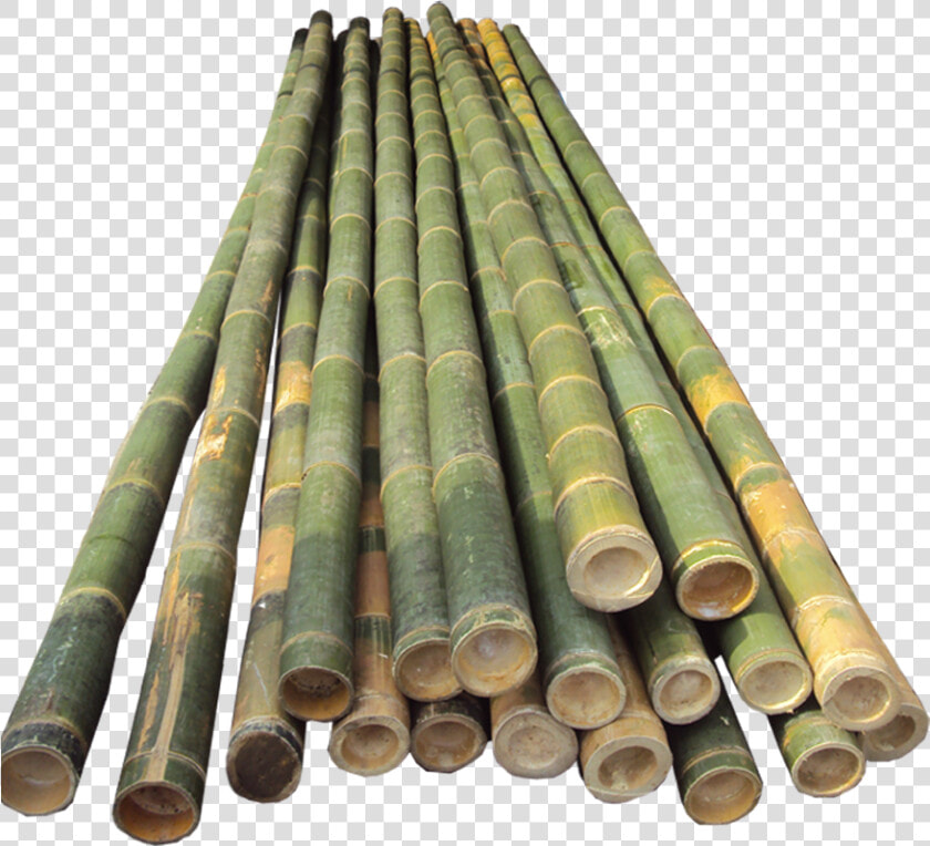Bamboo Pole Vault Poles  HD Png DownloadTransparent PNG