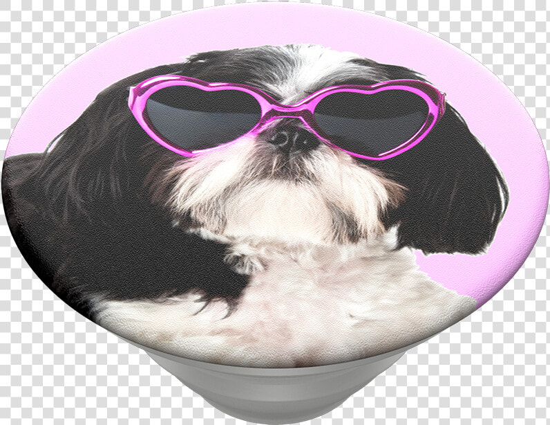 Sassy Shih Tzu  Popsockets   Popsockets  HD Png DownloadTransparent PNG