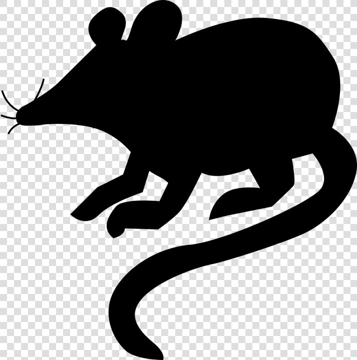Mouse Rat Silhouette   Silueta De Un Raton  HD Png DownloadTransparent PNG