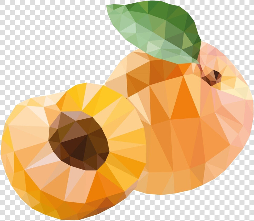 Apricot Stone  HD Png DownloadTransparent PNG
