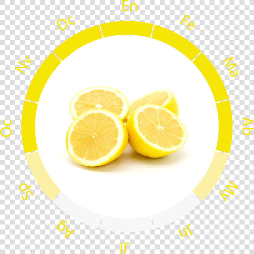 Power And Control Wheel College  HD Png DownloadTransparent PNG