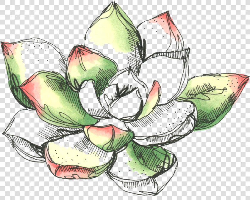  freetoedit  succulent  colorful  overlay  drawn   Learning To Speak Life Books  HD Png DownloadTransparent PNG