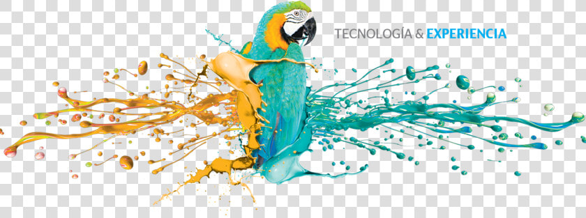 Transparent Guacamaya Png   Editorial Sur Guatemala  Png DownloadTransparent PNG