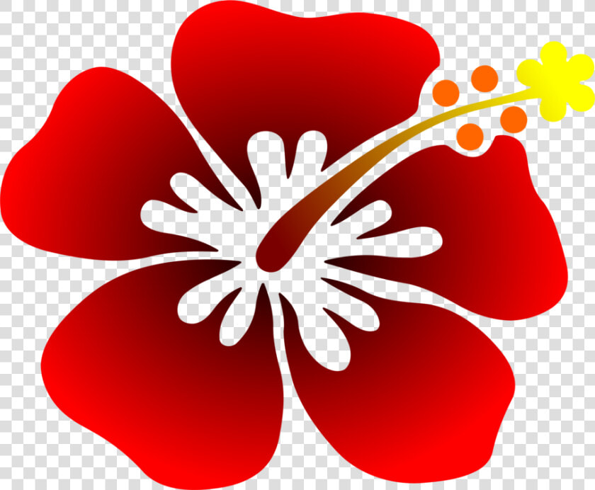 Hibiscus plant flora  HD Png DownloadTransparent PNG
