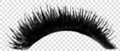  eye  eyes  makeup  eyelashes  dressup  costume   Eyelashes  HD Png DownloadTransparent PNG