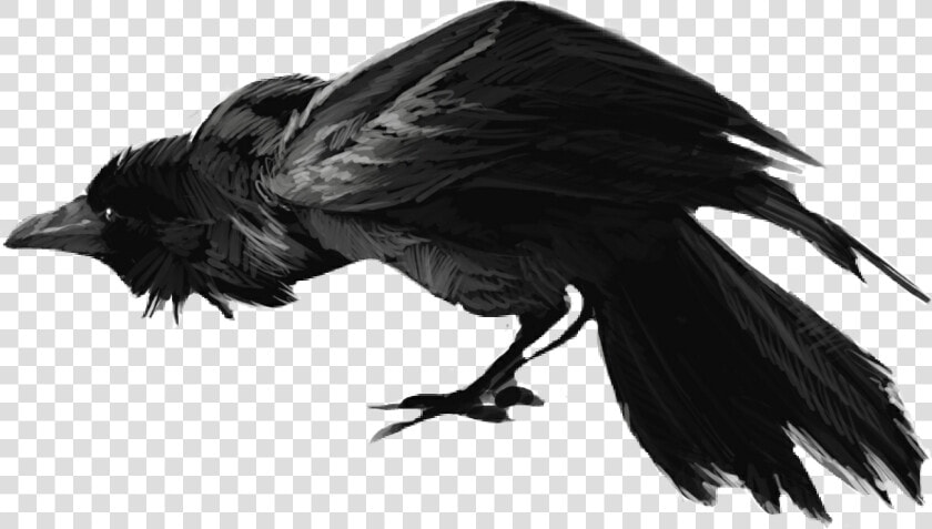Crow Clipart Scary   Scary Raven Png  Transparent PngTransparent PNG