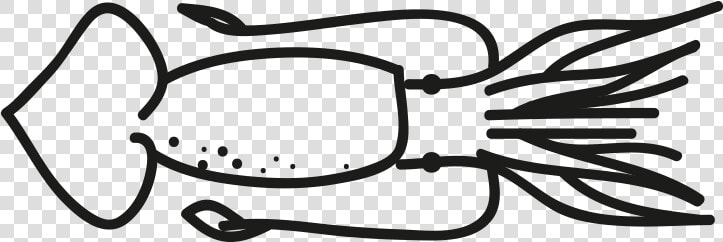 Pota Illex Argentinus Todarodes Spp Illex Illecebrosus   Sotong Clipart Black And White  HD Png DownloadTransparent PNG