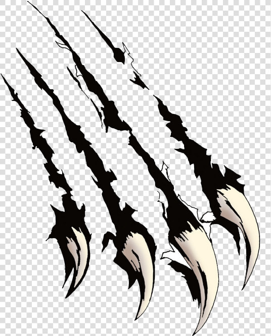 Claw Scratches Png Mart   Clip Art Bear Claws  Transparent PngTransparent PNG