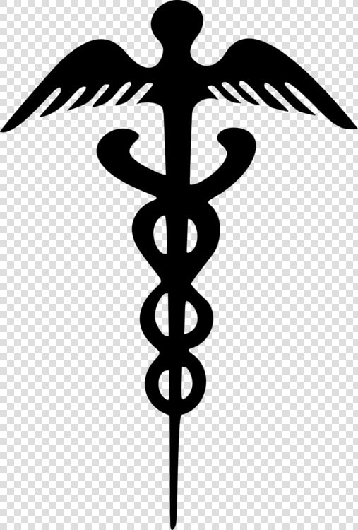 Clip Art Staff Of Hermes Caduceus   Staff Of Hermes Clip Art  HD Png DownloadTransparent PNG