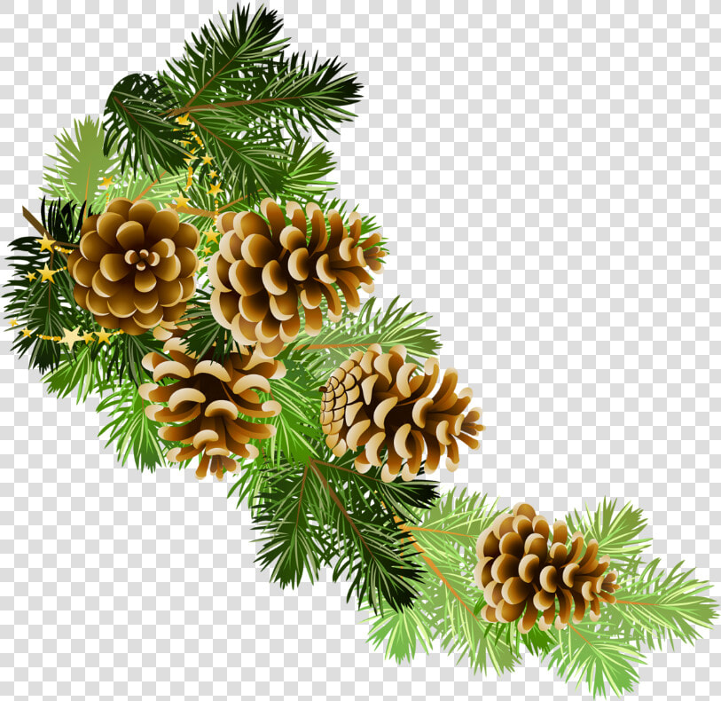 Poinsettia Clipart Pine Garland   Christmas Greenery Clip Art  HD Png DownloadTransparent PNG