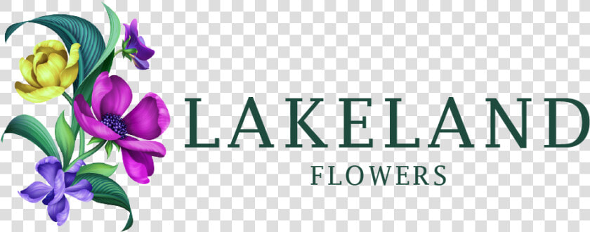 Lakeland  Fl Florist   Flower  HD Png DownloadTransparent PNG