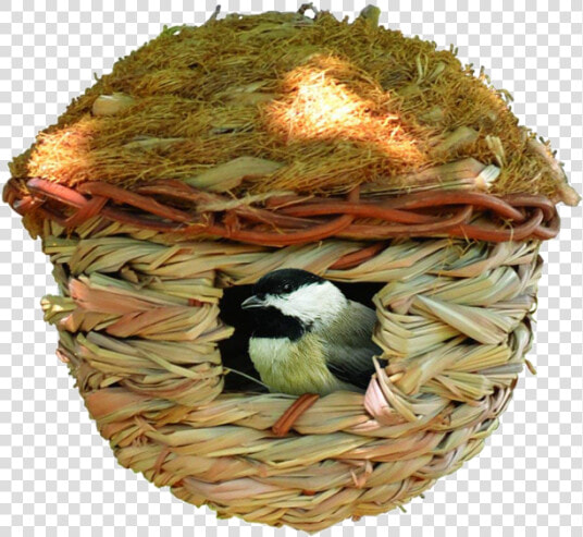 Songbird Essentials  HD Png DownloadTransparent PNG