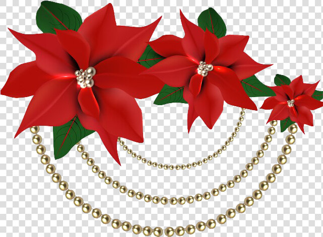 Christmas Poinsettia Png File   Clipart Christmas Flower Png  Transparent PngTransparent PNG