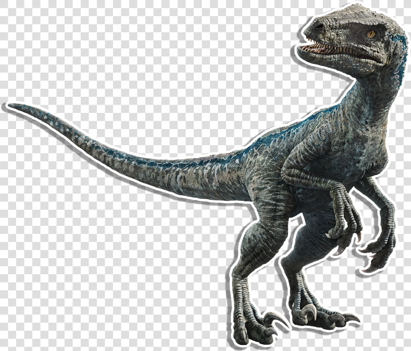 Velociraptor Transparent Secondary   Velociraptor Blue  HD Png DownloadTransparent PNG