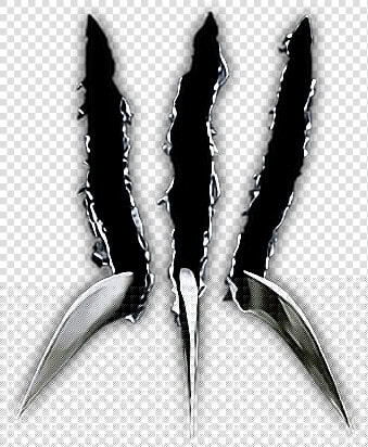  freetoedit  awesome  cool  wolverine  claws   Wolverine Logo Png  Transparent PngTransparent PNG
