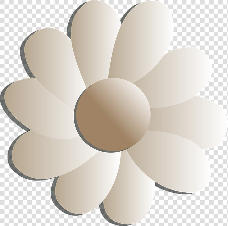 Flowers  White  Floral  Blooming  Blossom  Spring   Clip Art Flower White  HD Png DownloadTransparent PNG