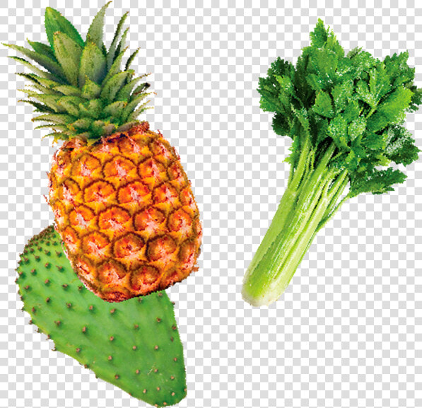 Piña Apio Y Nopal   Pineapple  HD Png DownloadTransparent PNG