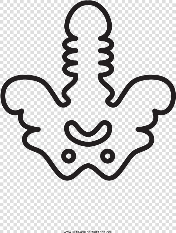 Hip Bones Coloring Page   Cadera Para Colorear  HD Png DownloadTransparent PNG