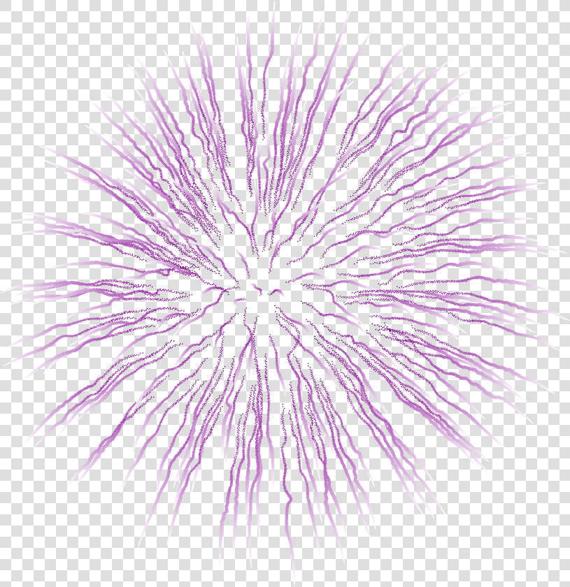 Firework Clipart Purple   Light Effect Gif Transparent  HD Png DownloadTransparent PNG