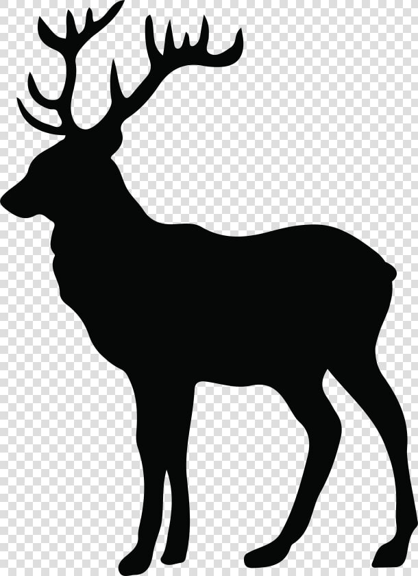 Stag Silhouette At Getdrawings   White Tail Deer Silhouette  HD Png DownloadTransparent PNG