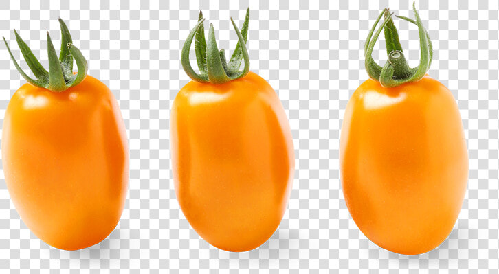 Oriana Orange Grape Tomatoes   Orange Cherry Tomatoes Long  HD Png DownloadTransparent PNG