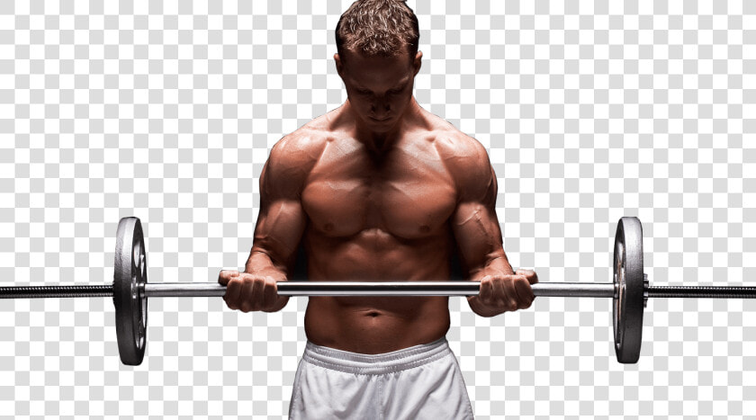 Bodybuilding  HD Png DownloadTransparent PNG