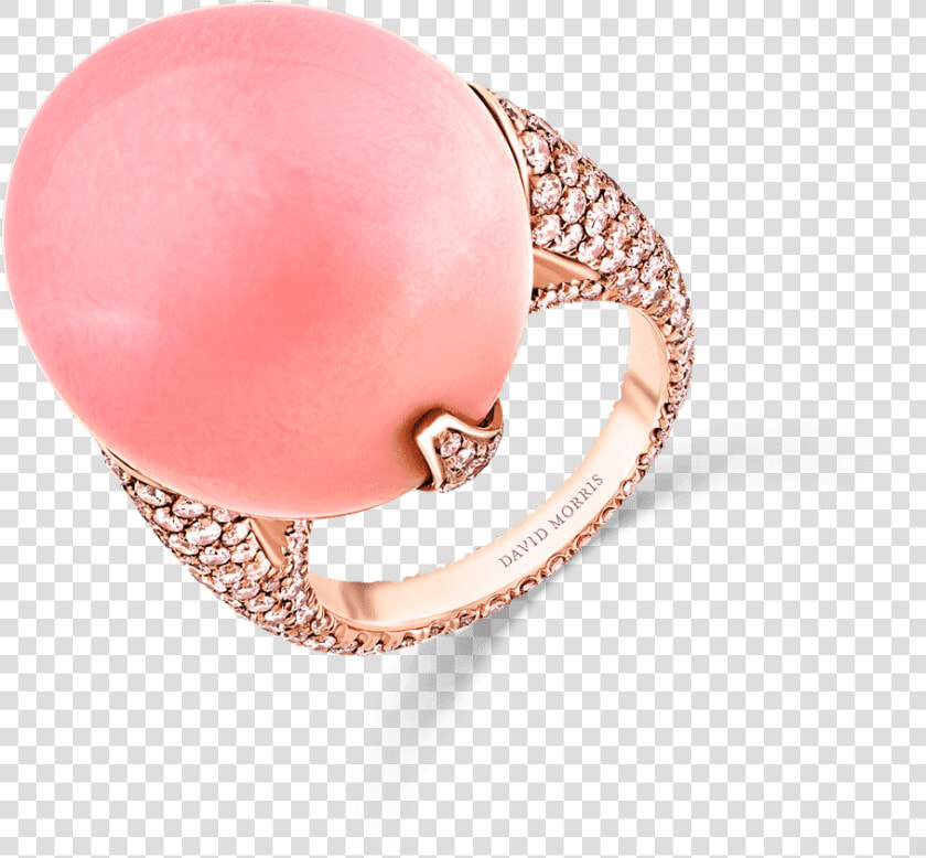 11 06 430 Ring   Ring  HD Png DownloadTransparent PNG