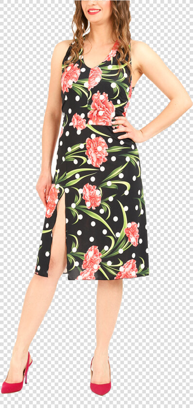 Tango Dress With Carnation Flowers  amp  Polka Dot Print   Day Dress  HD Png DownloadTransparent PNG