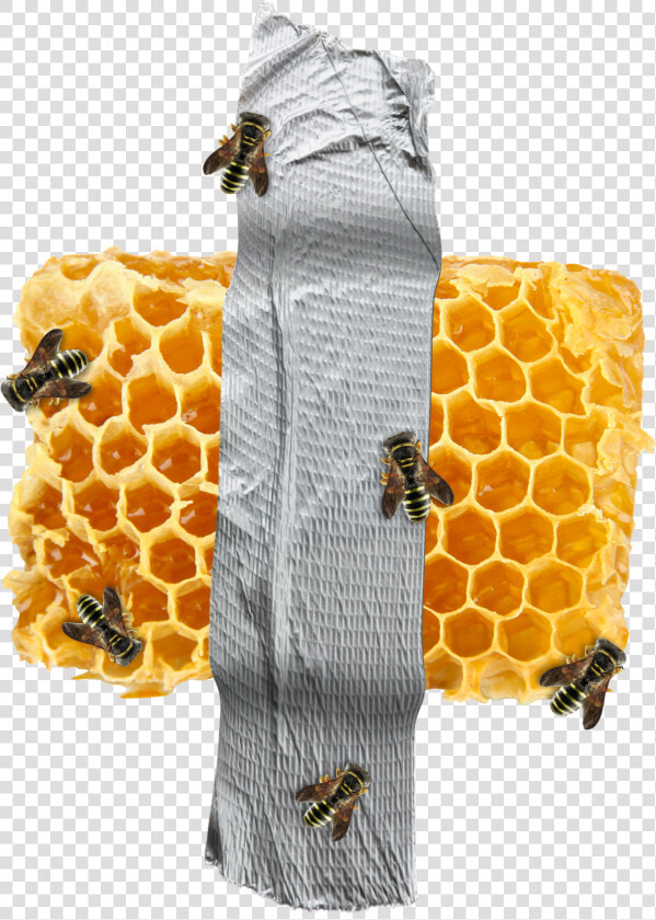 Beehive Pattern Png  Transparent PngTransparent PNG