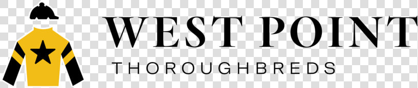 Wpt  HD Png DownloadTransparent PNG
