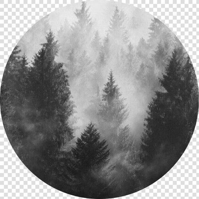  circle  grey  aesthetic  freetoedit   Black And Grey Aesthetic Forest  HD Png DownloadTransparent PNG