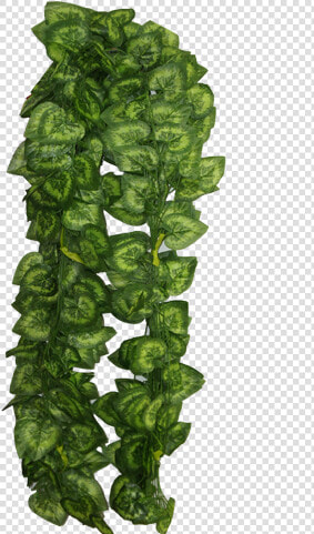 Artificial Green Hanging Vine Leaves   Green Leaf Hanging Png  Transparent PngTransparent PNG