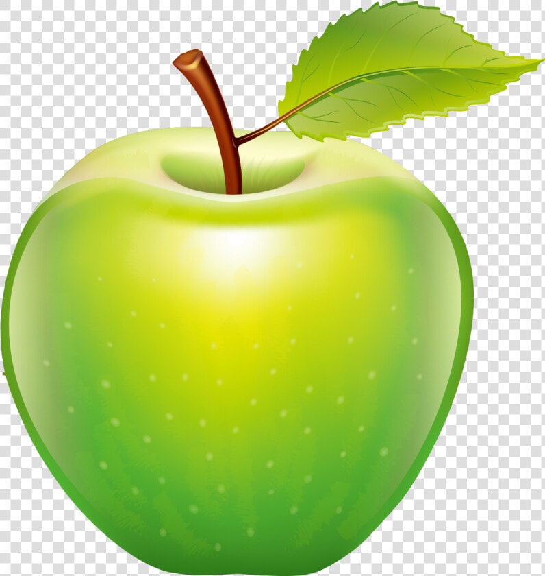 Apple Tape Measure Icon Picture Black And White Stock   Realistic Apple Clip Art  HD Png DownloadTransparent PNG