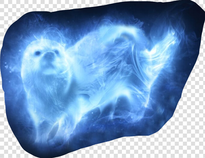  harrypotter  hermione  patronus  otter   Harry Potter Otter Patronus  HD Png DownloadTransparent PNG