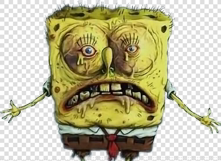 Transparent Bob Esponja Png   Spongebob Whats Wrong With Me  Png DownloadTransparent PNG