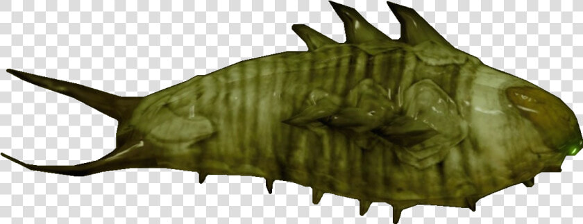 Transparent Worms Png   Hive Larvae Destiny 2  Png DownloadTransparent PNG