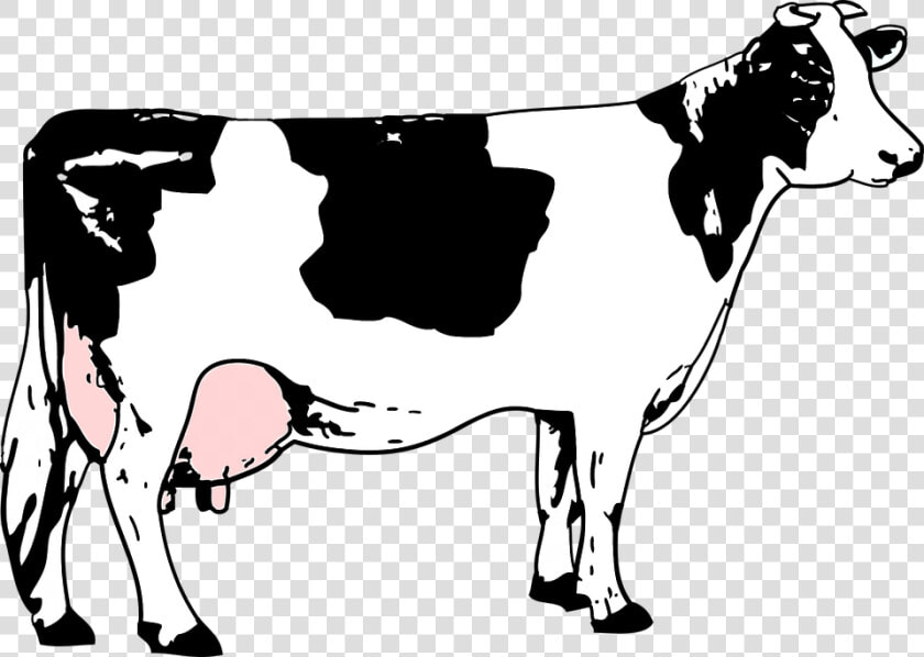 Cargill Feed  HD Png DownloadTransparent PNG