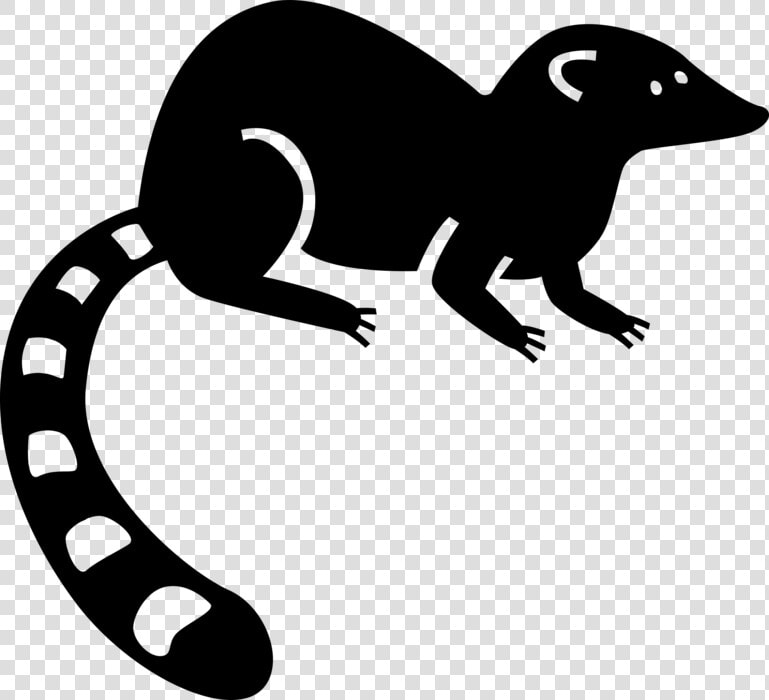 Vector Illustration Of Bushy tailed Lemur From Island   Marsupial  HD Png DownloadTransparent PNG