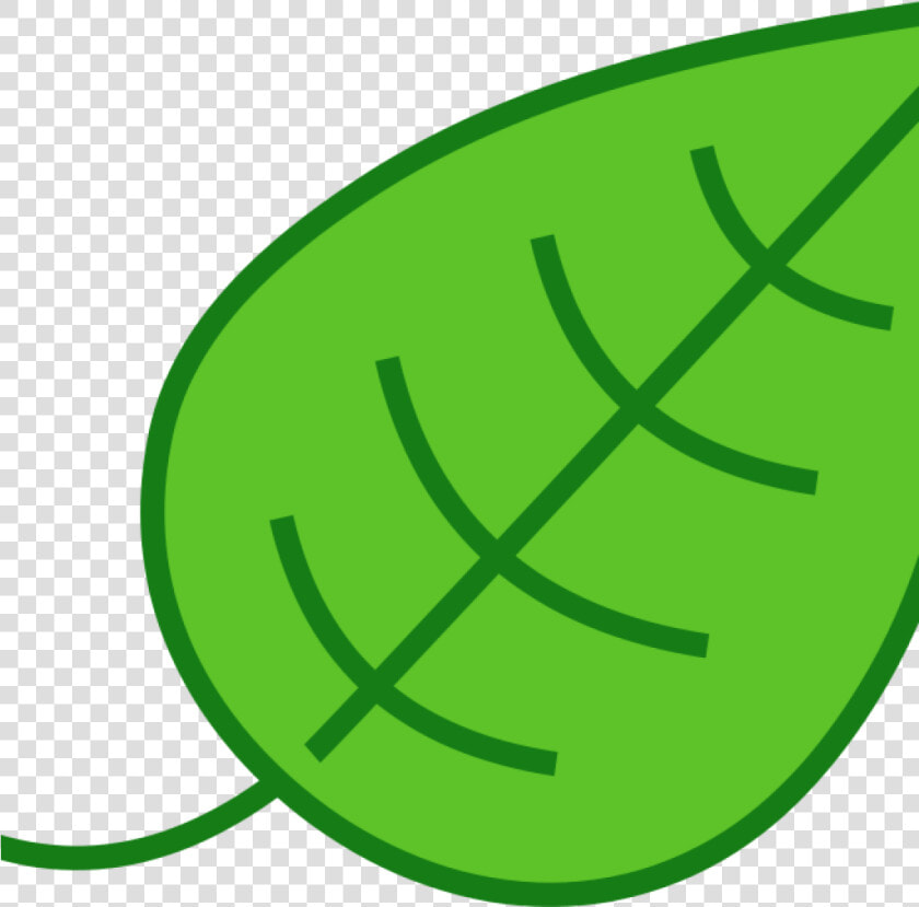Leaf Images Clip Art Free Clipart Simple Leaf Laobc   Cartoon Green Leaf Png  Transparent PngTransparent PNG
