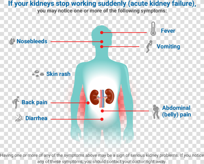 Kidney Disease Symptoms  HD Png DownloadTransparent PNG