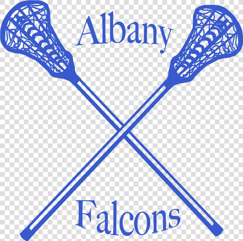 Albany High Girls Lacrosse  HD Png DownloadTransparent PNG