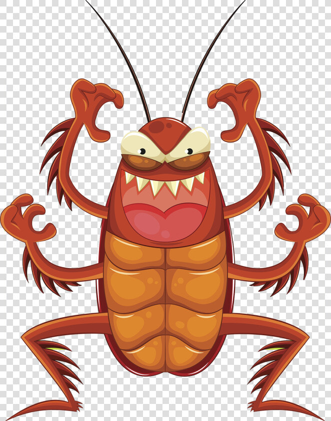 Roaches   Scary Insect Clipart  HD Png DownloadTransparent PNG