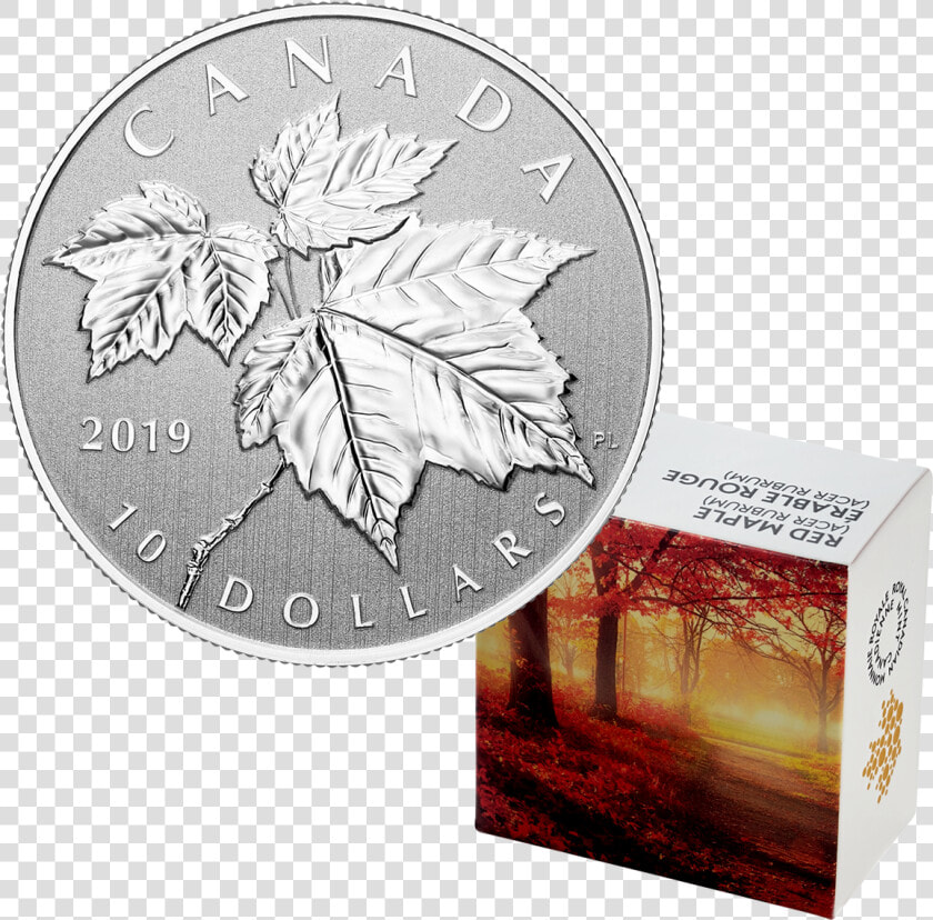 2019 1 2 Oz Canada Maple Leaf   Canadian Quarters Maple Leafs  HD Png DownloadTransparent PNG