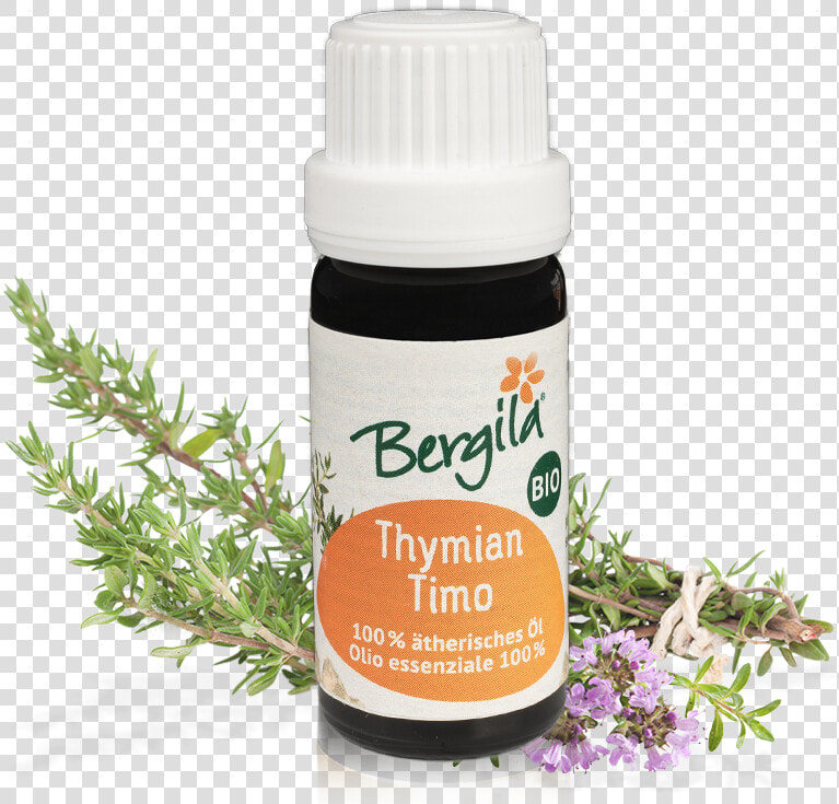 Origine Du Thym  HD Png DownloadTransparent PNG