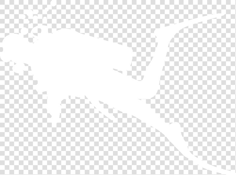 Dive Equipment Hire   Underwater Diving  HD Png DownloadTransparent PNG