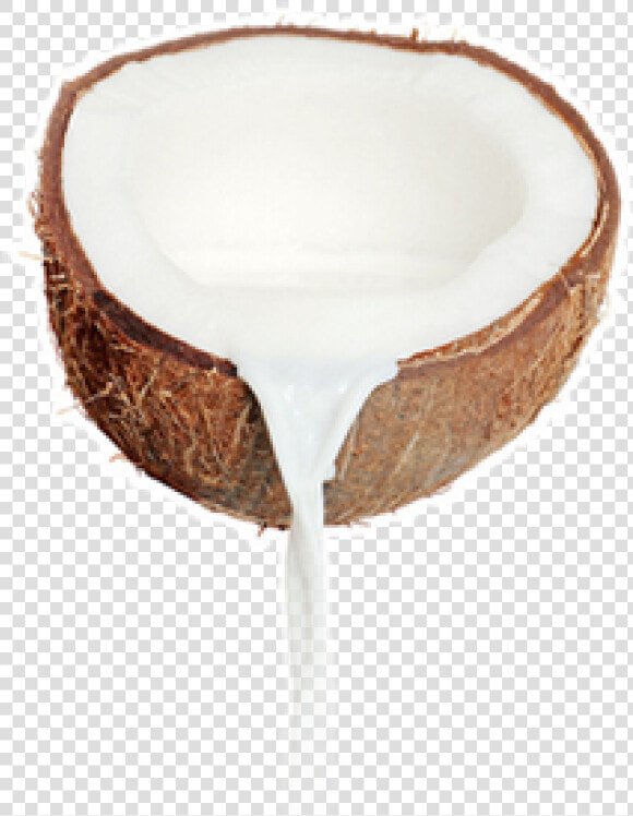 Coconut Png Free Download   Coconut Milk No Background  Transparent PngTransparent PNG