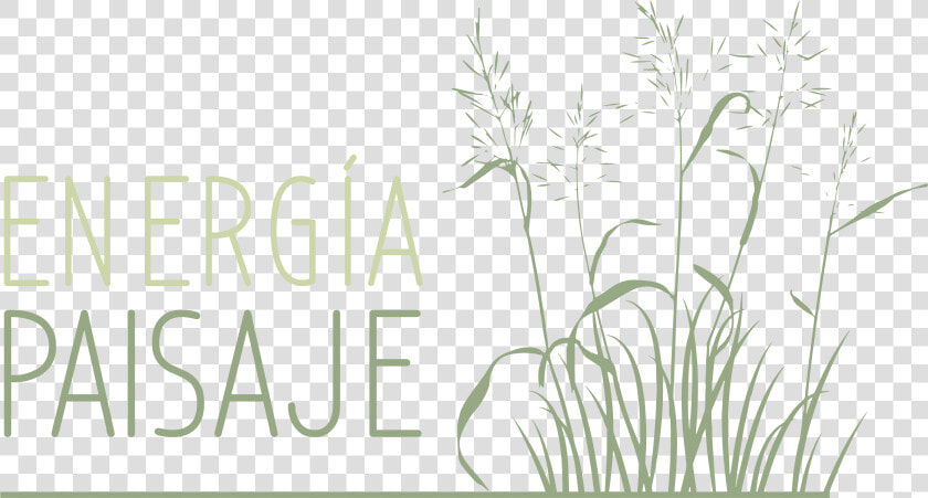 Hierochloe  HD Png DownloadTransparent PNG