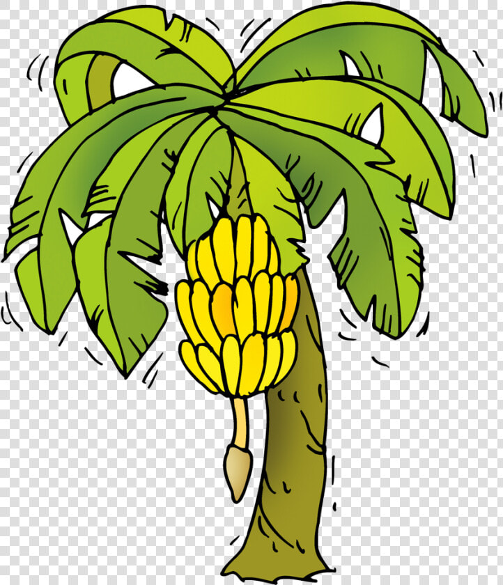 Banana Tree Cartoon Png   Png Download   Banana Tree Clipart Png  Transparent PngTransparent PNG