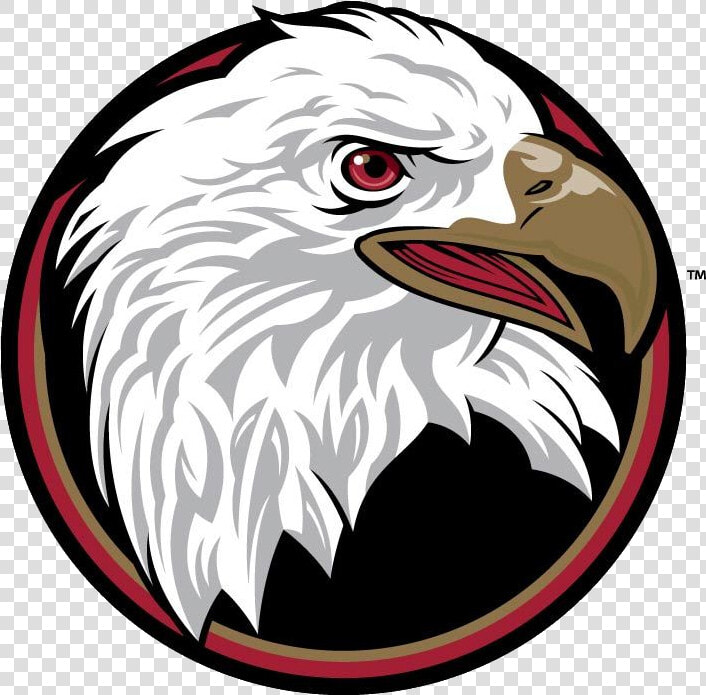 Bridgewater College Eagles  HD Png DownloadTransparent PNG
